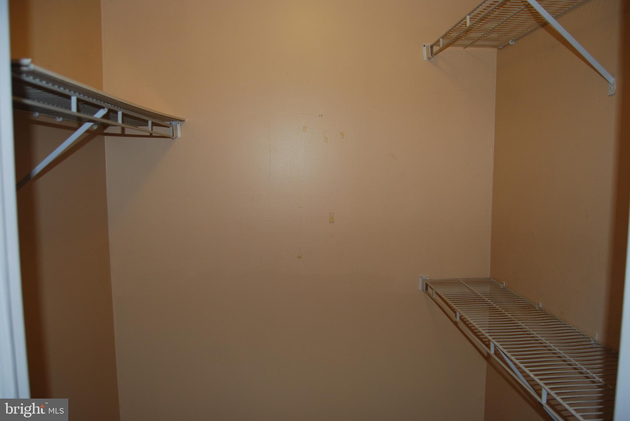6710 Ridge Road, Unit 102 Baltimore, MD 21237 - Photo 19 of 27 Multiple Storage Shelves in Walk In Closet!