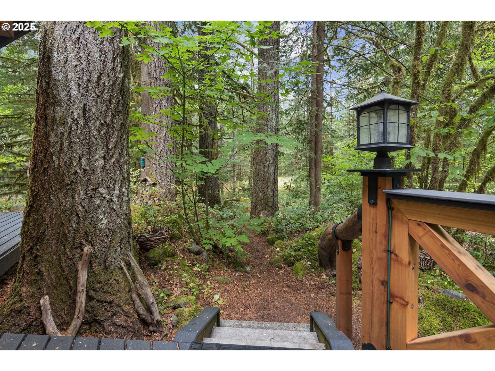 27172 East Marion Road Rhododendron, OR 97049 - Photo 38 of 48 a view of outdoor space and yard