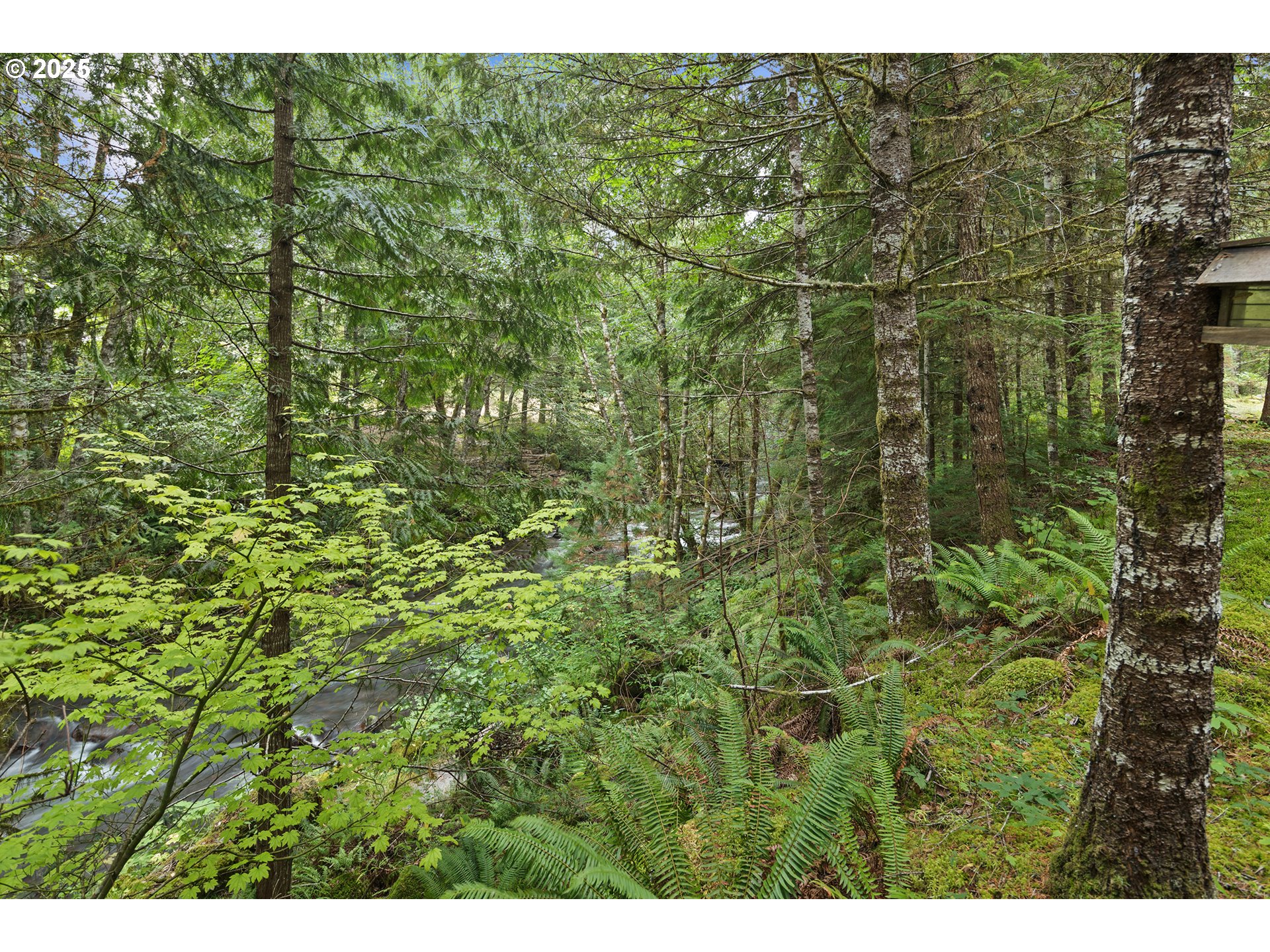 27172 East Marion Road Rhododendron, OR 97049 - Photo 41 of 48