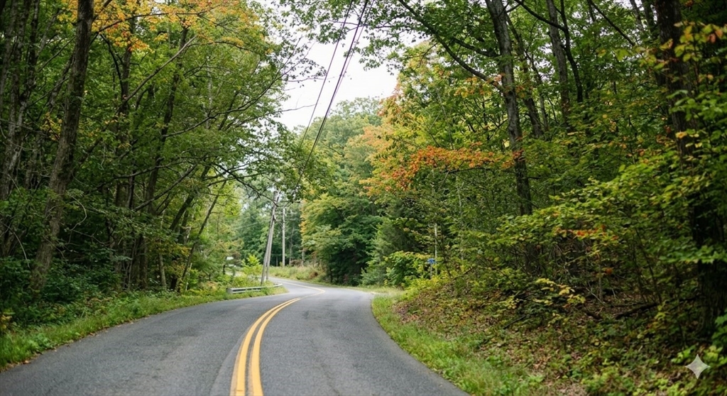 a view of a street with a trees