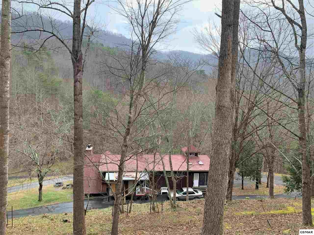 933 Caney Creek Road Sevierville, TN 37863 - Photo 11 of 36
