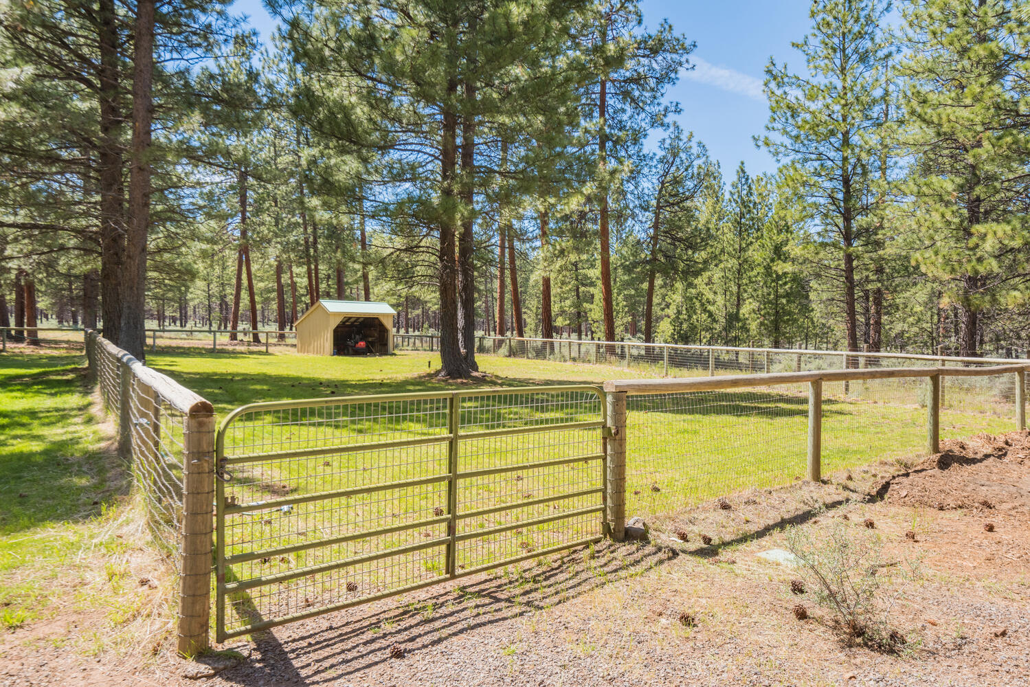 67895 Peterson Burn Road Sisters, OR 97759 - Photo 61 of 63 61 Paddock