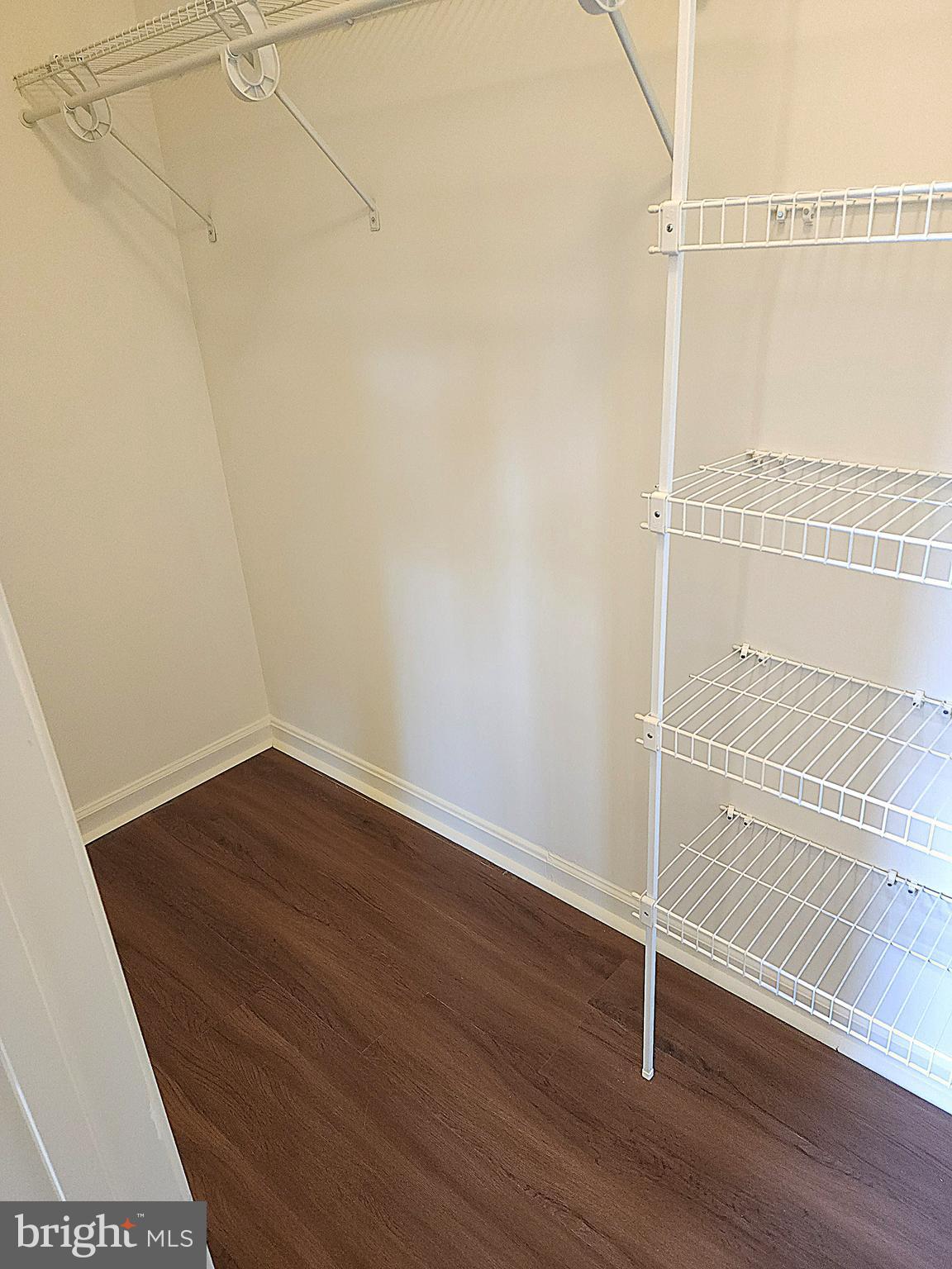3506 Bess Way Monrovia, MD 21770 - Photo 45 of 63 Additional Master Storage /closet