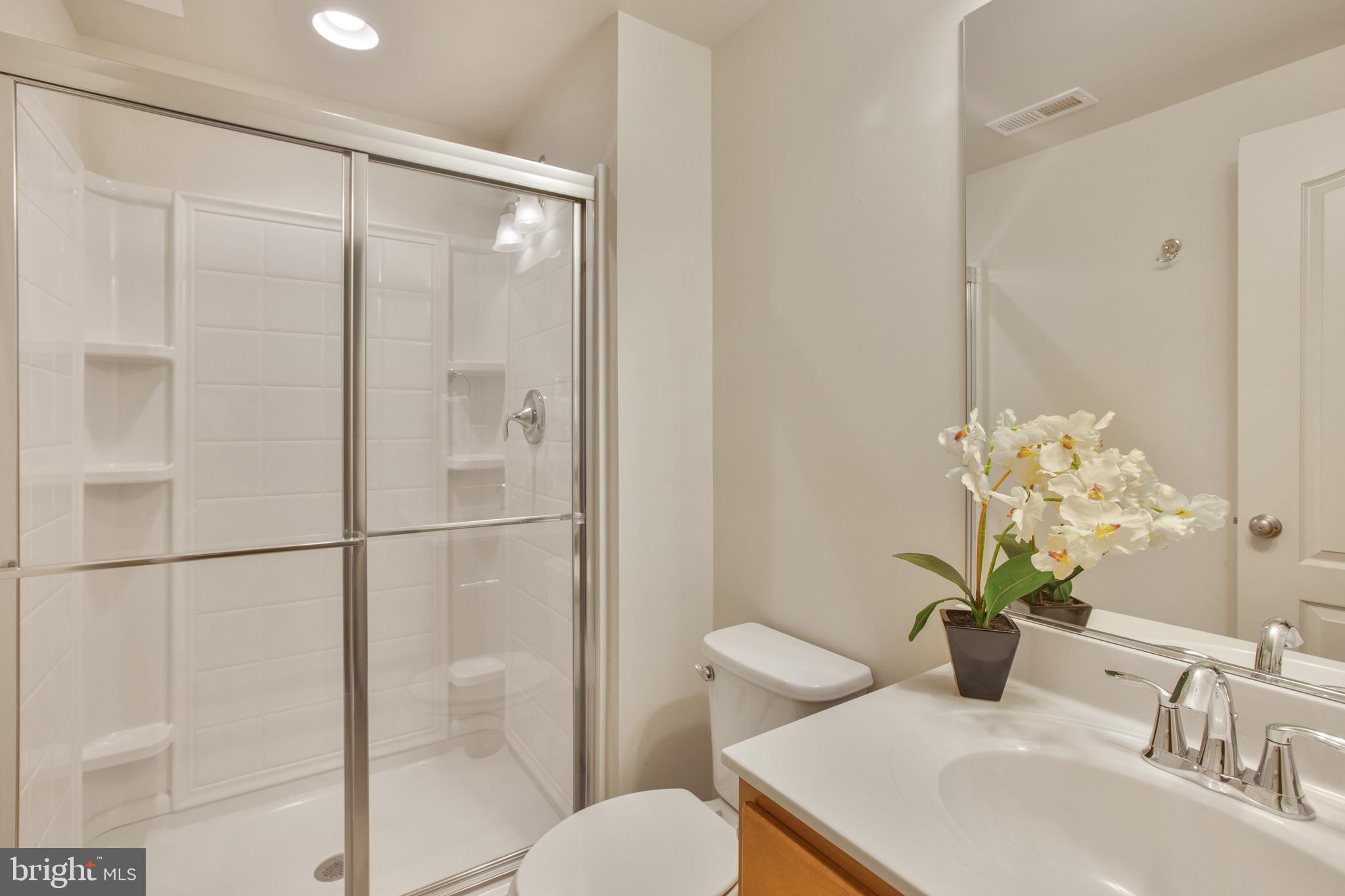 3506 Bess Way Monrovia, MD 21770 - Photo 58 of 63 Full Bathroom #4 in the basement