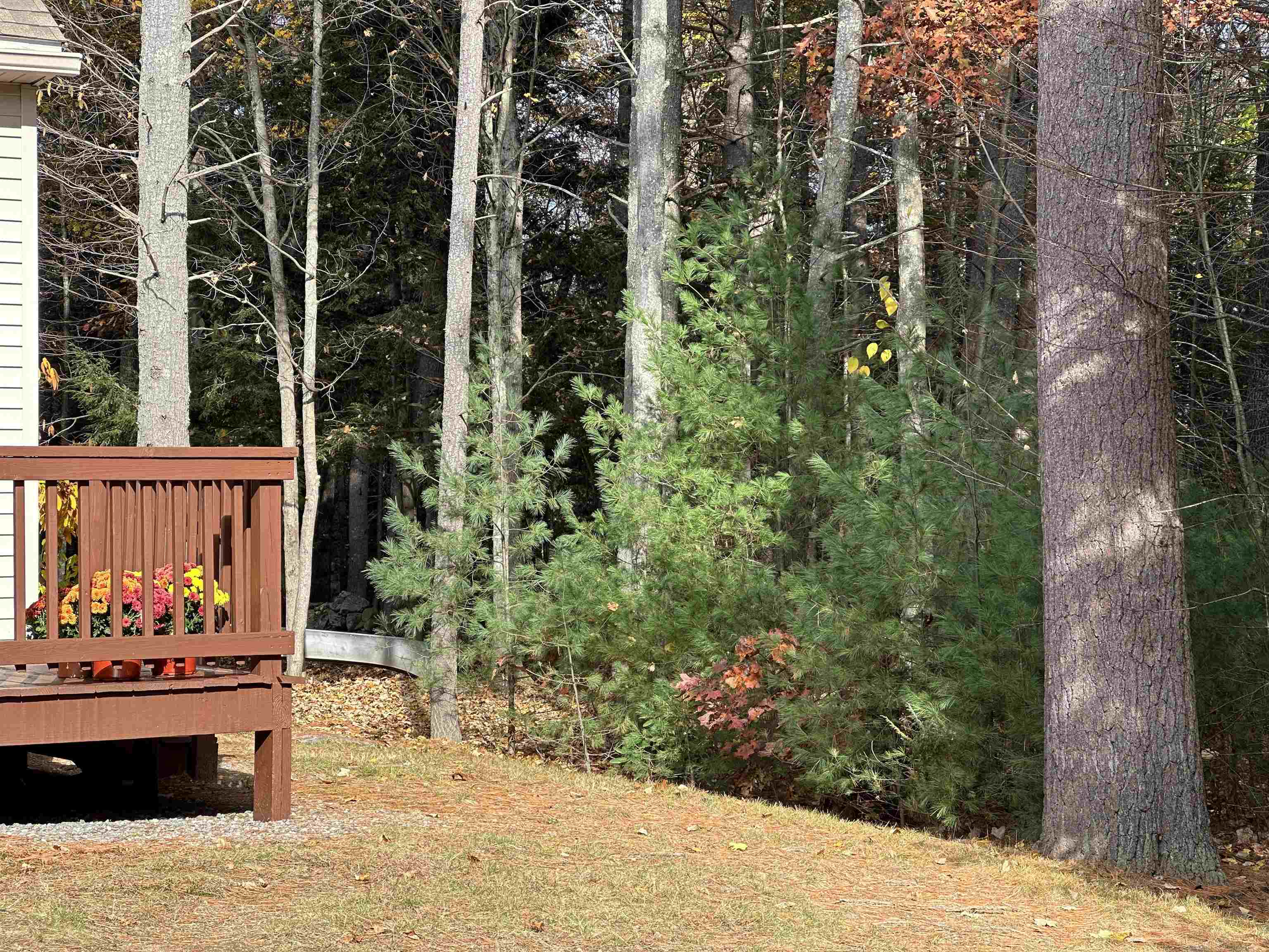 21 Scottie Way Amherst, NH 03031 - Photo 11 of 16