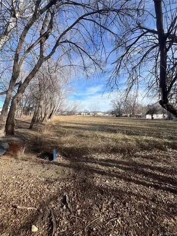 a view of dirt yard with a large tree