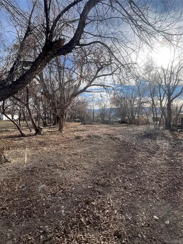 a view of dirt yard with a tree