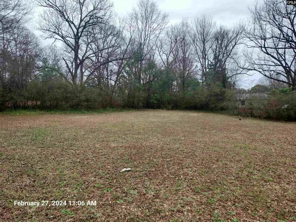 a view of a yard with a tree