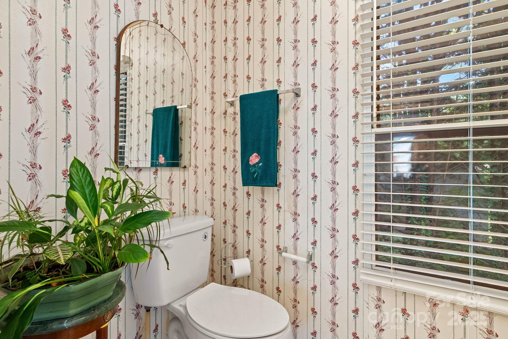 213 Old State 10 Road Black Mountain, NC 28711 - Photo 22 of 44 a bathroom with a toilet and a sink