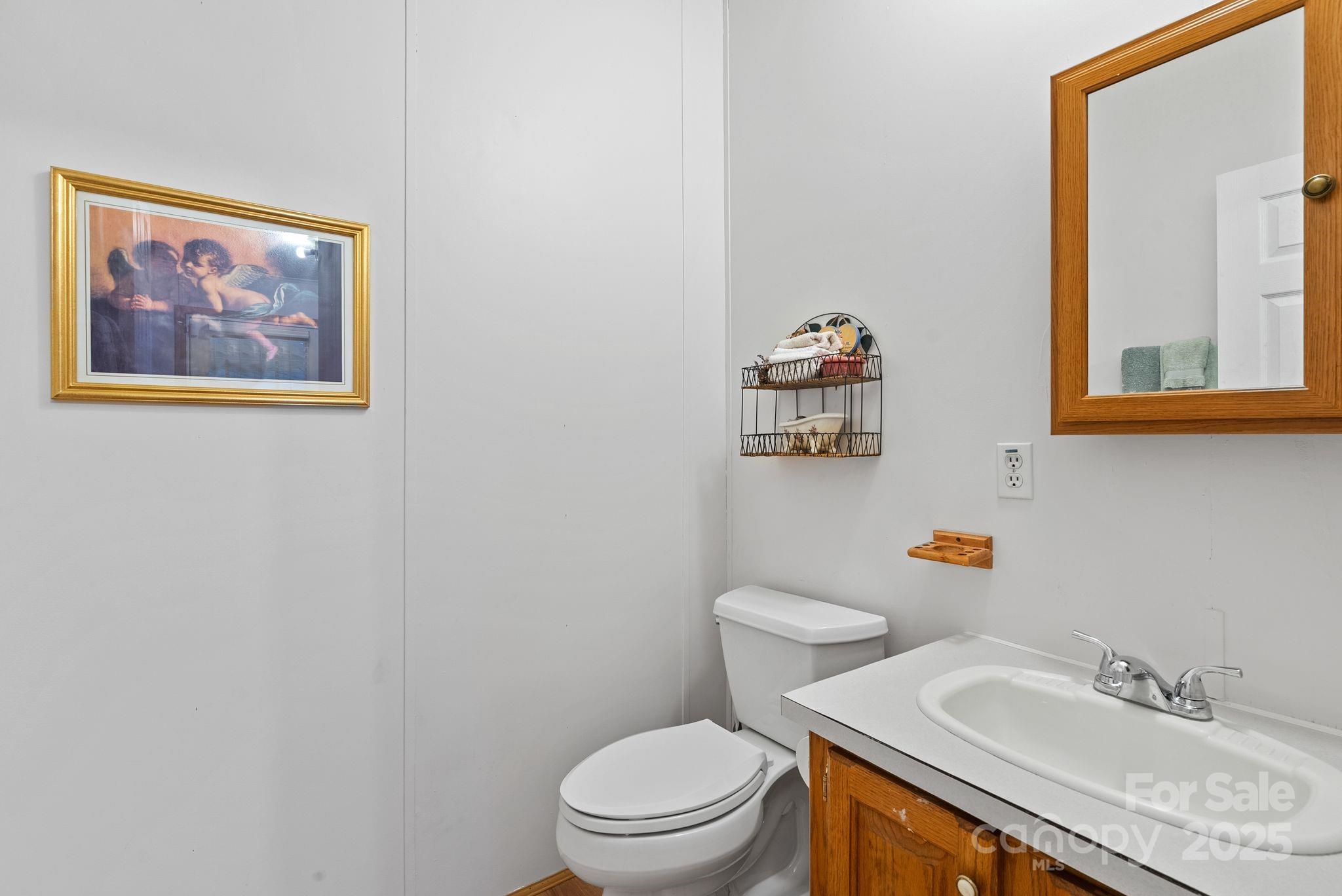 213 Old State 10 Road Black Mountain, NC 28711 - Photo 28 of 44 a bathroom with a granite countertop sink mirror vanity and a toilet