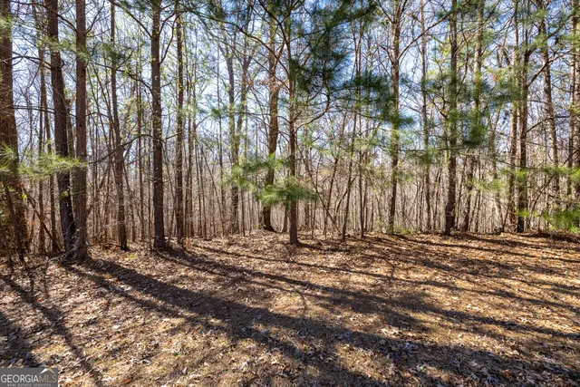 $80,655 | 2051 Fontainbleau Drive, Conyers, GA 30094