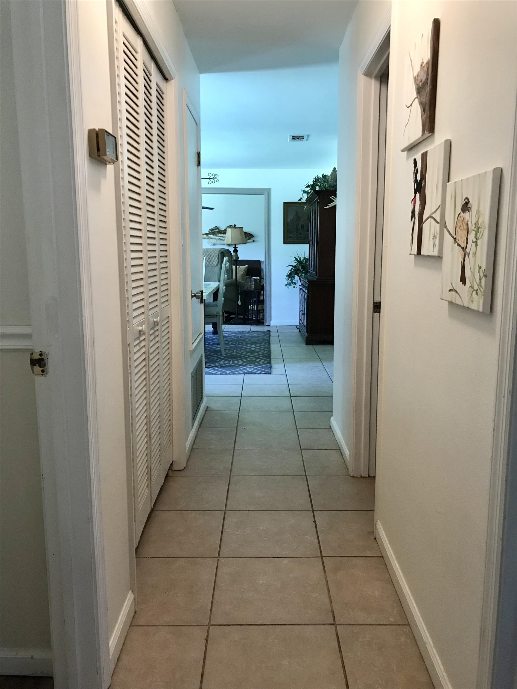 135 Dickson Bay Road Panacea, FL 32346 - Photo 12 of 31 Gallery Image 12