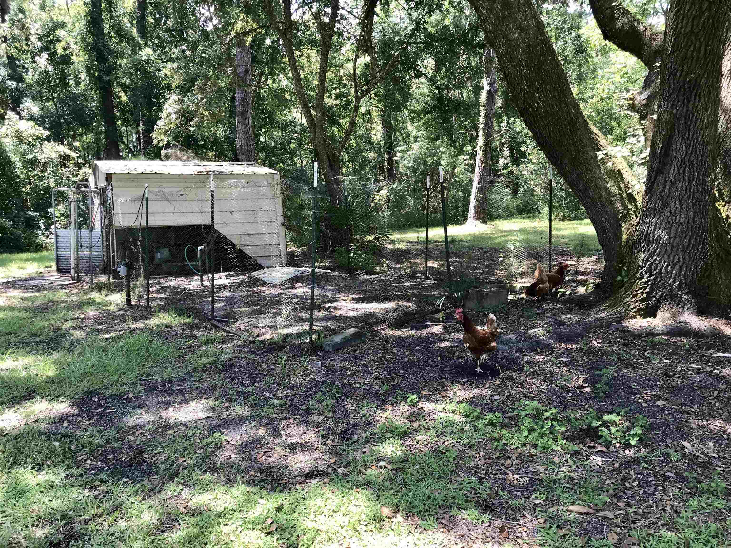 135 Dickson Bay Road Panacea, FL 32346 - Photo 3 of 31 Gallery Image 3