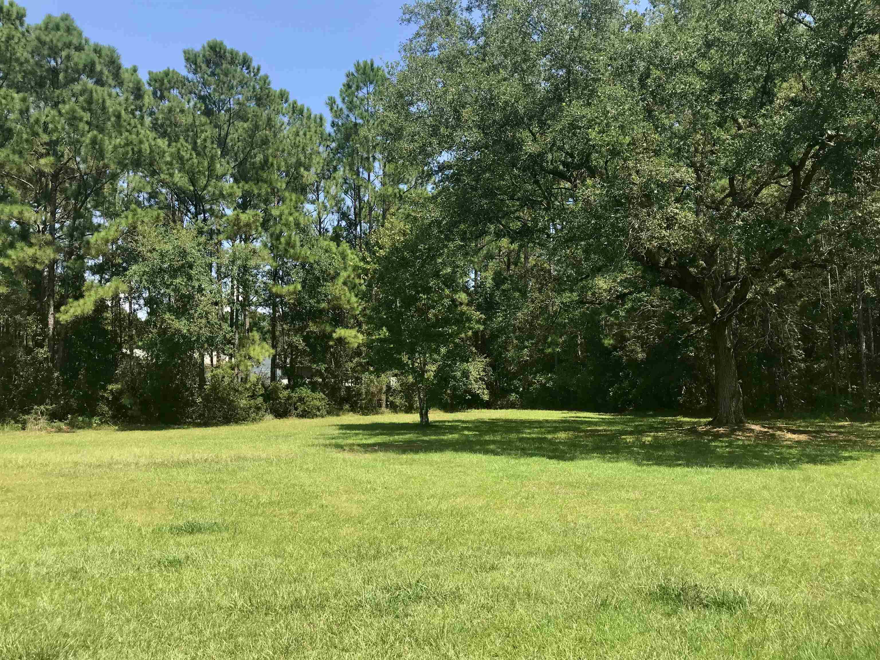 135 Dickson Bay Road Panacea, FL 32346 - Photo 6 of 31 Gallery Image 6
