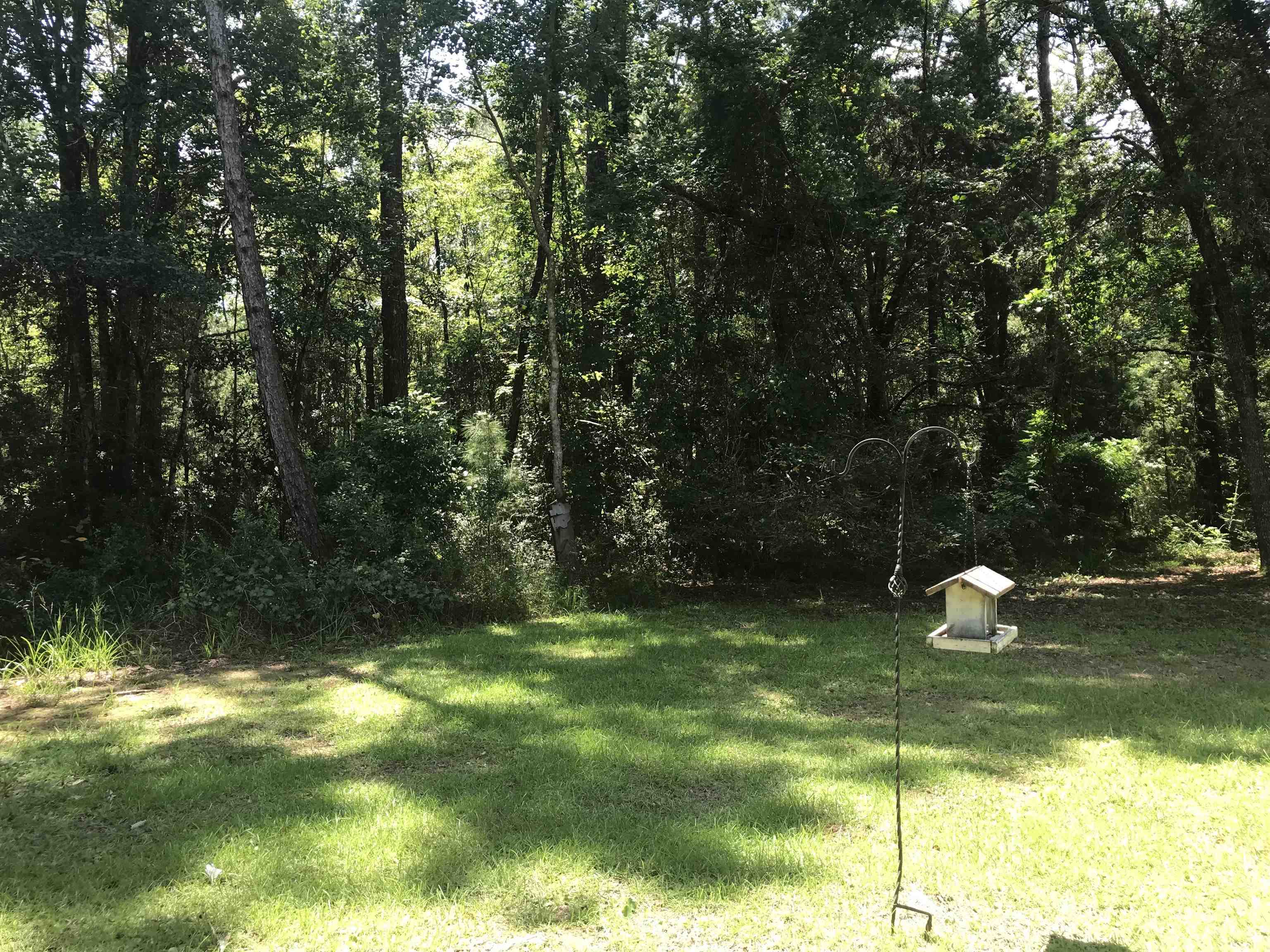 135 Dickson Bay Road Panacea, FL 32346 - Photo 8 of 31 Gallery Image 8
