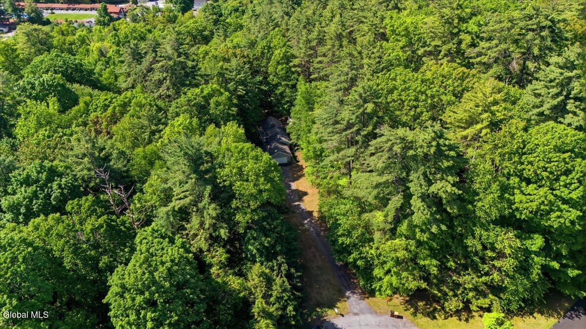 54 Carriage Hill Road Diamond Point, NY 12824 - Photo 50 of 55 02-002_DJI_20260529100229_0012_D