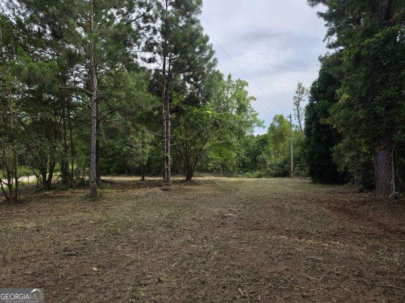 0 Dean Nichols Road Statesboro, GA 30458 - Photo 1 of 1 a view of outdoor space with trees