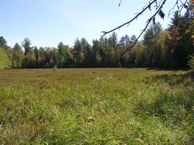 Near7719 Palmer Lake Road Land O'Lakes, WI 54540 - Photo 9 of 9 Gallery Image 9