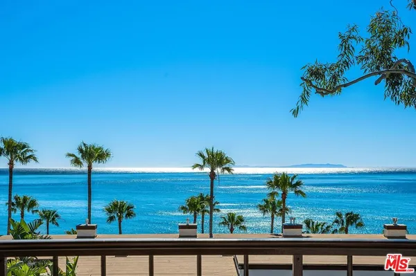 a view of a lake with a potted plant