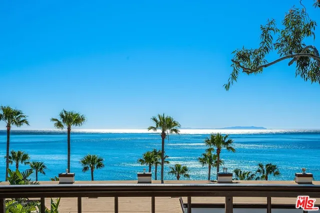 a view of a lake with a potted plant