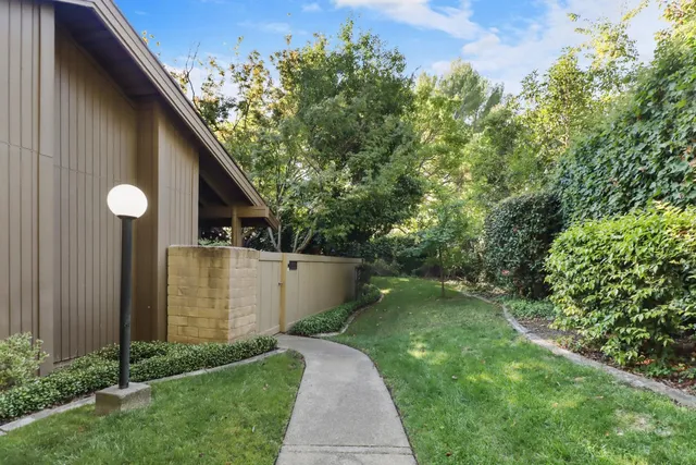 a view of a back yard