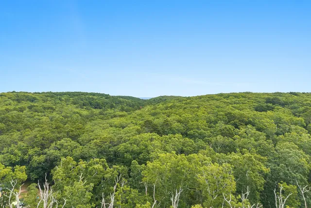 a view of yard with grass