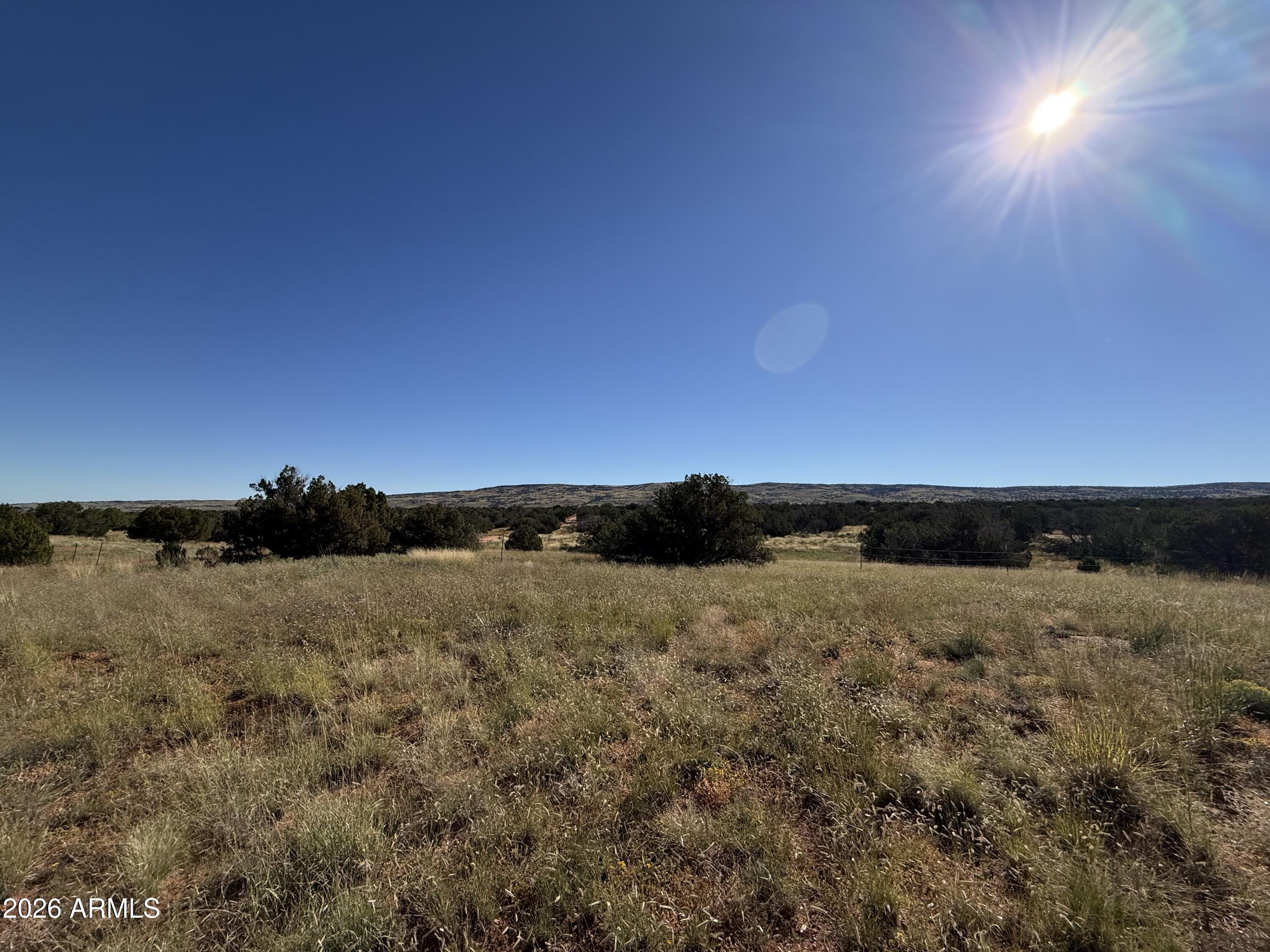 100 North County Road 5331 Road Concho, AZ 85924 - Photo 8 of 15 IMG_8814