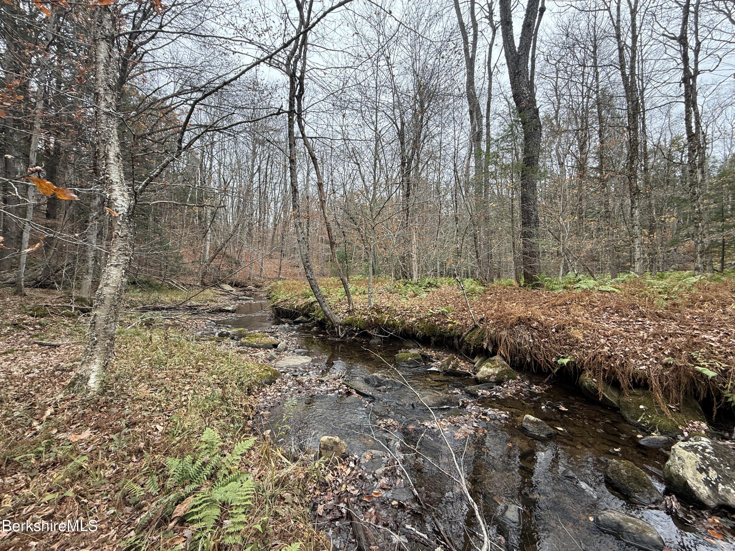 a view of a yard with large trees