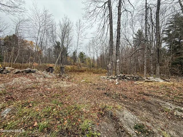 a view of a yard with trees