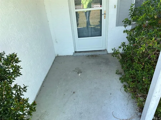 an empty room with a potted plant and windows
