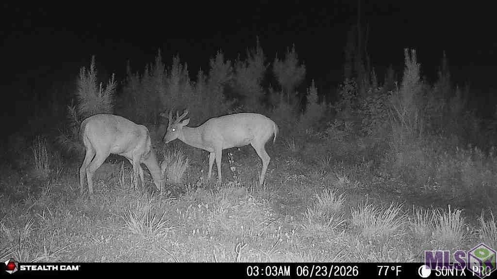 3320 Busy Corner Road Gloster, MS 39638 - Photo 27 of 34