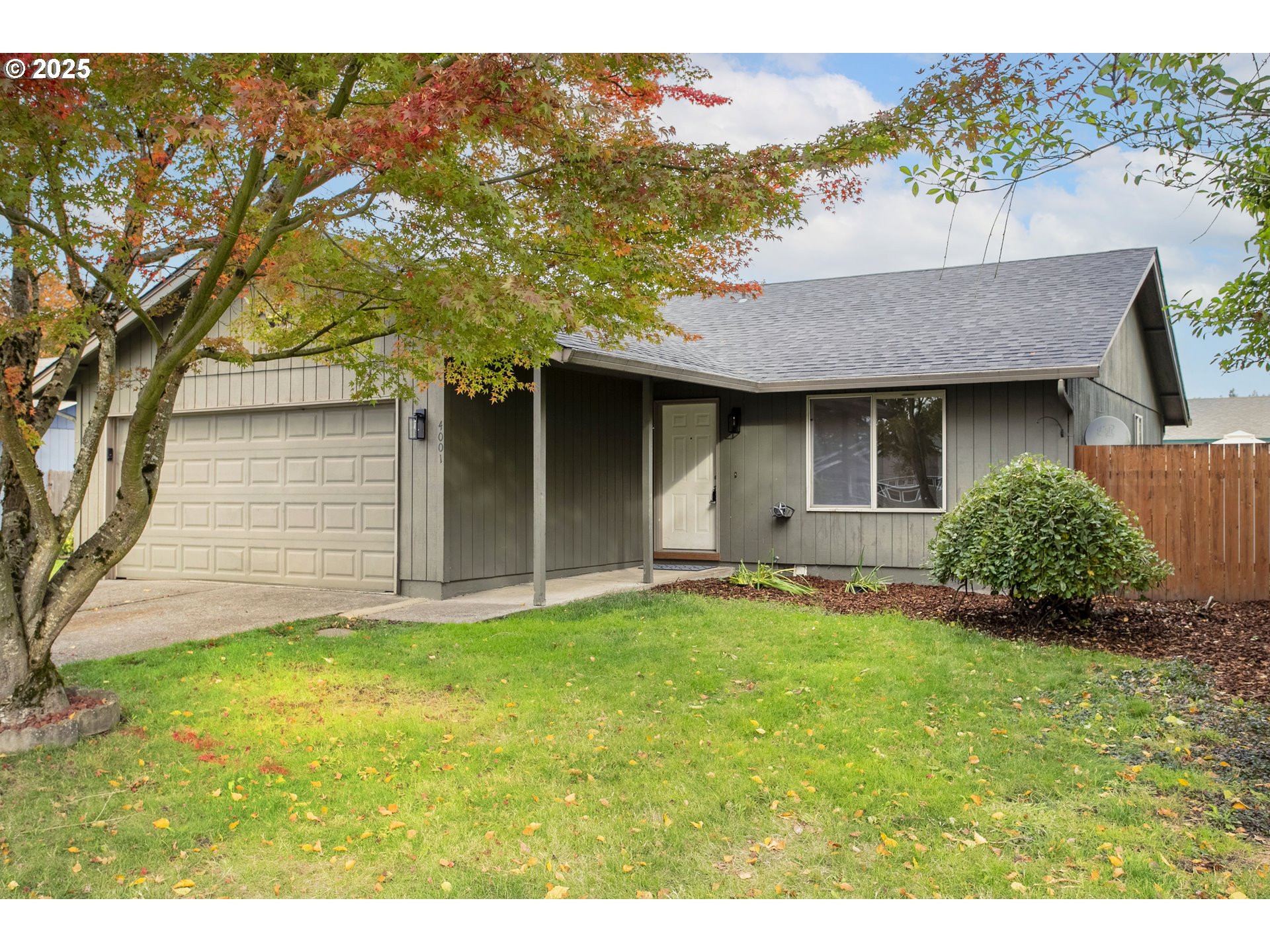 a brick house with a yard plants and large tree