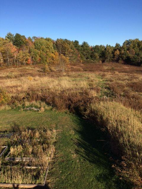 972 Wiscasset Road Pittston, ME 04345 - Photo 24 of 24 View of organic gardens with...