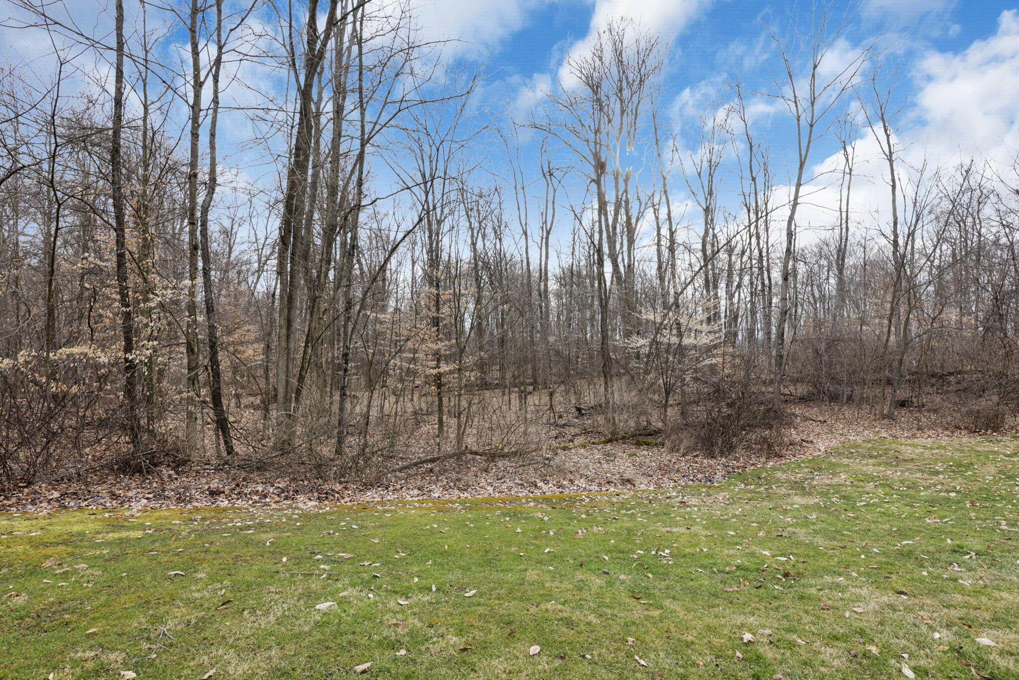 5521 Morgan Center Road Mount Vernon, OH 43050 - Photo 87 of 104 93-web-or-mls-GR7A4950