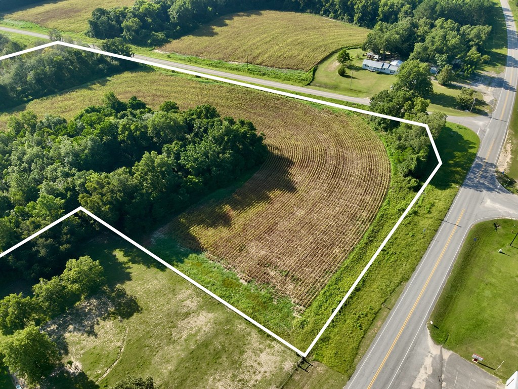 17.57-acres Red Oak Road Florala, AL 36442 - Photo 10 of 11