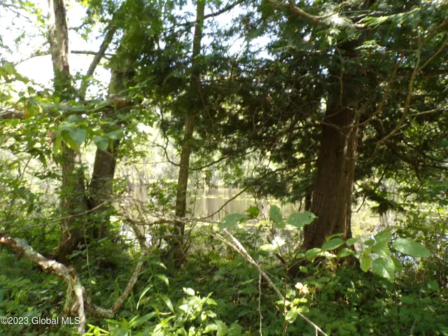 $169,900 | L21 Schroon River Road, Warrensburg, NY 12885