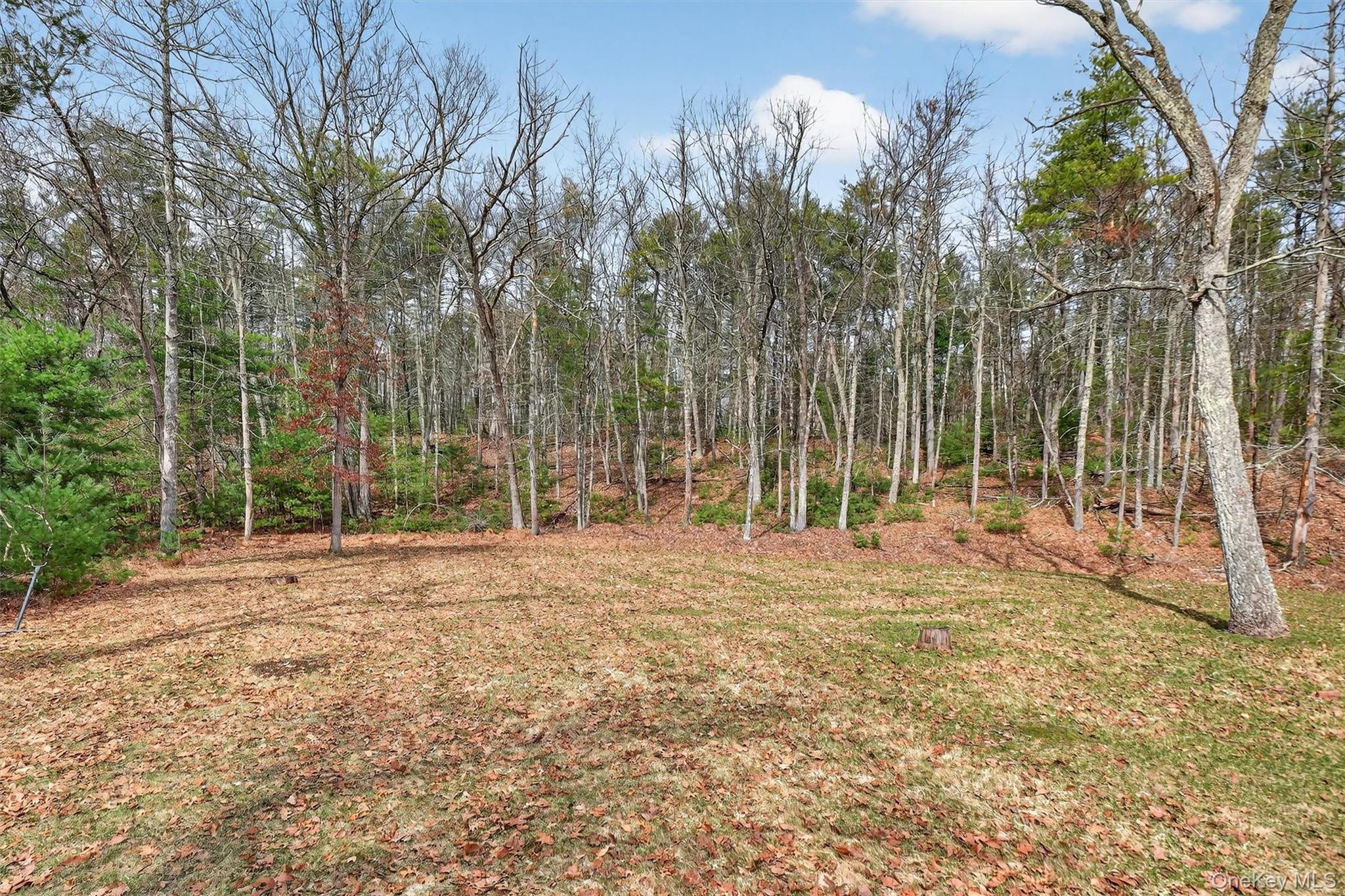 274 Morgan Hill Road Hurley, NY 12443 - Photo 36 of 39