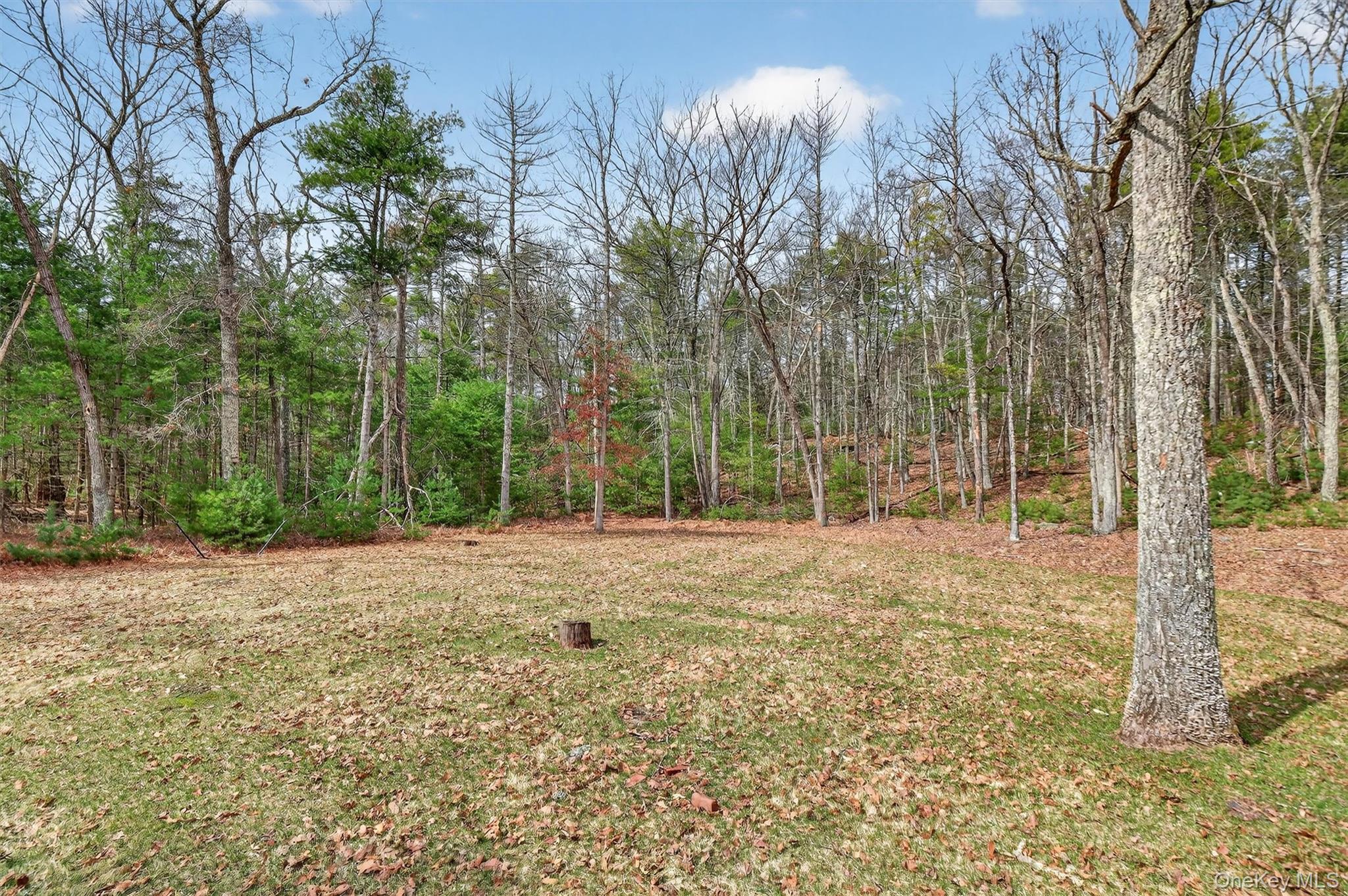 274 Morgan Hill Road Hurley, NY 12443 - Photo 37 of 39