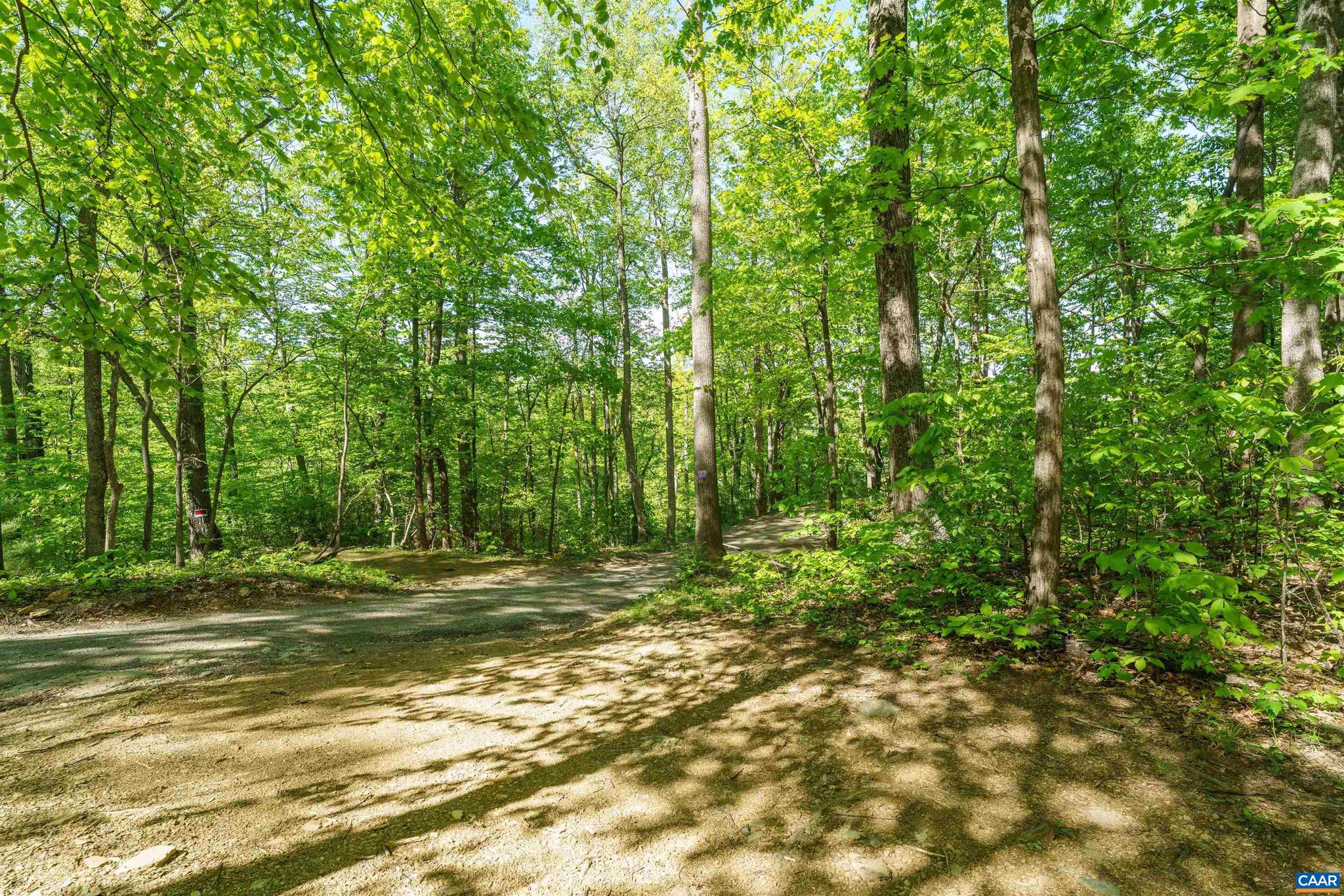 Lot E Brokenback Mountain Road, Unit 45A19E Dyke, VA 22935 - Photo 3 of 8 a view of outdoor space with trees
