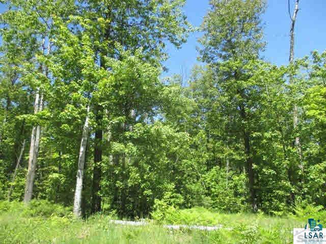 Xx Fire Tower Road Bayfield, WI 54814 - Photo 8 of 17 Gallery Image 8
