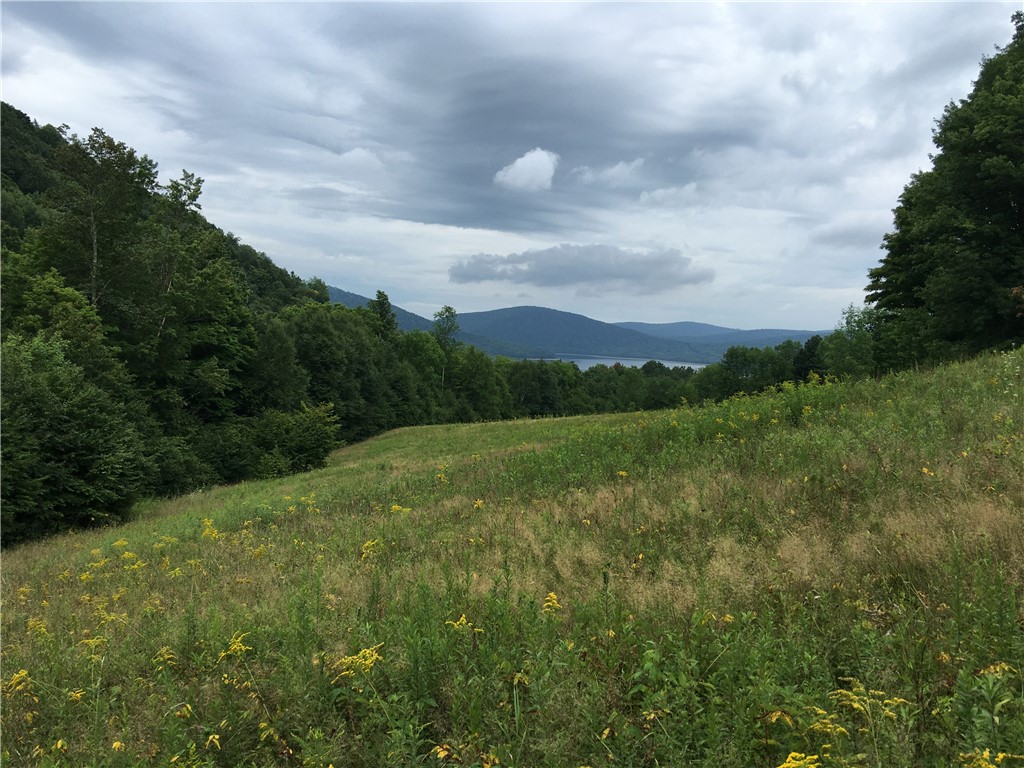 611 Faulkner Road Tompkins, NY 13856 - Photo 11 of 50 Gallery Image 11