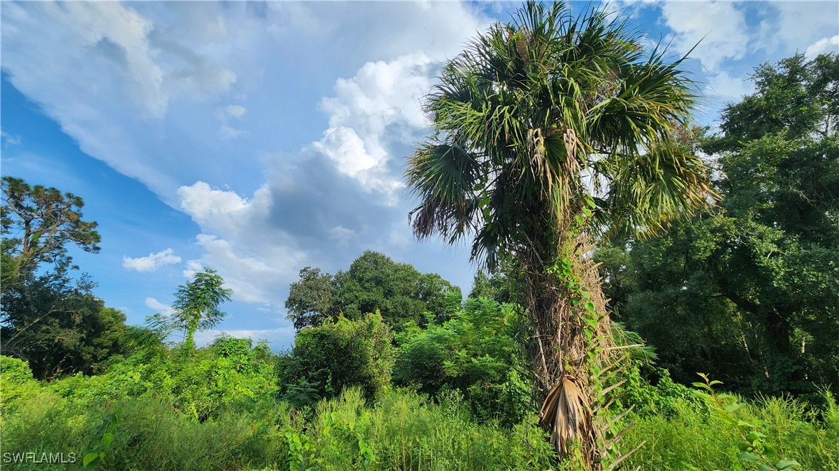 2201 South Goldenrod Road Orlando, FL 32822 - Photo 13 of 19