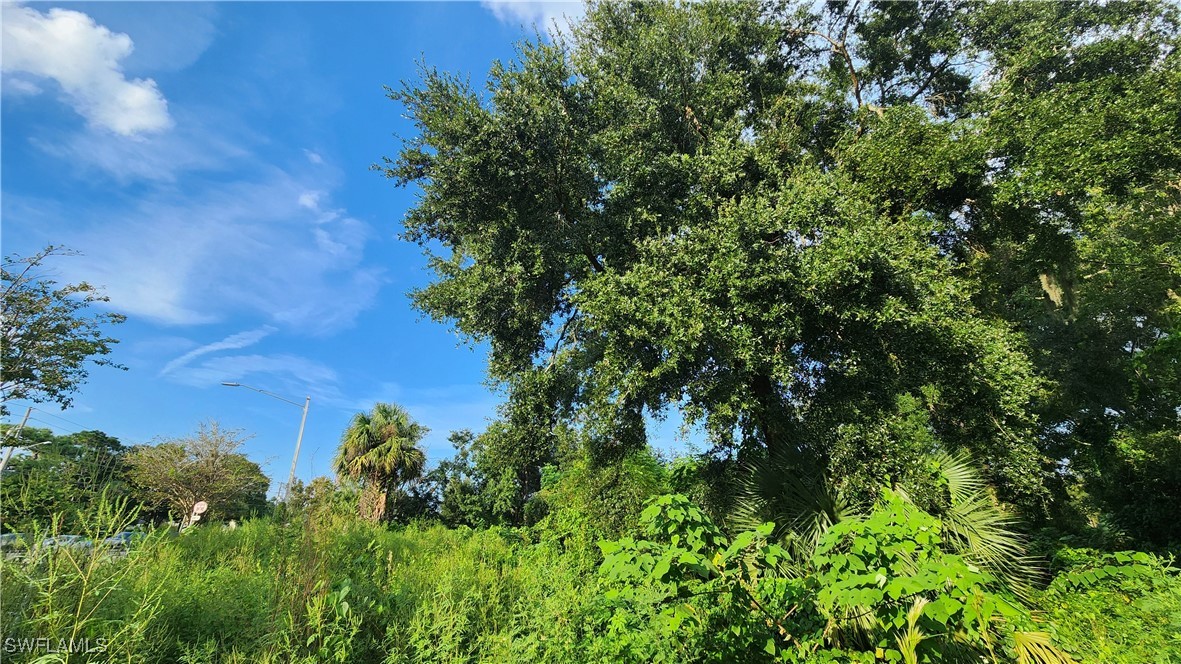 2201 South Goldenrod Road Orlando, FL 32822 - Photo 14 of 19 a view of a garden