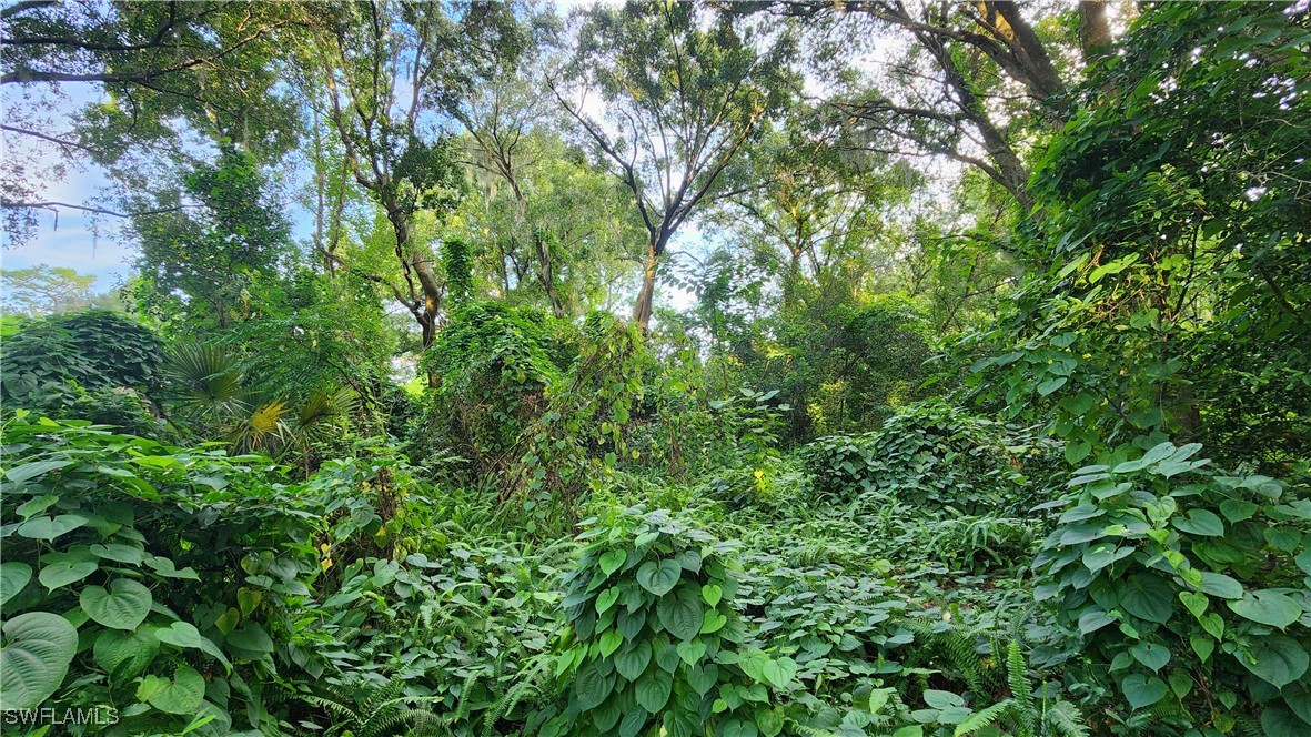 2201 South Goldenrod Road Orlando, FL 32822 - Photo 18 of 19 a view of a lush green forest
