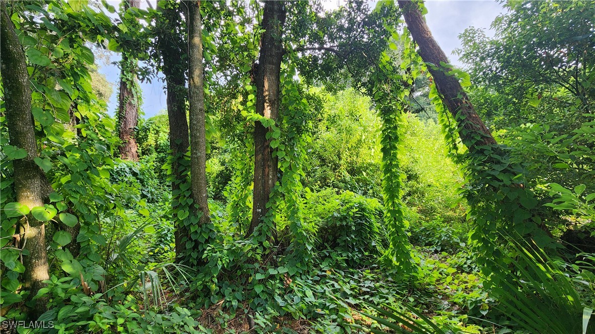 2201 South Goldenrod Road Orlando, FL 32822 - Photo 19 of 19 a plant view