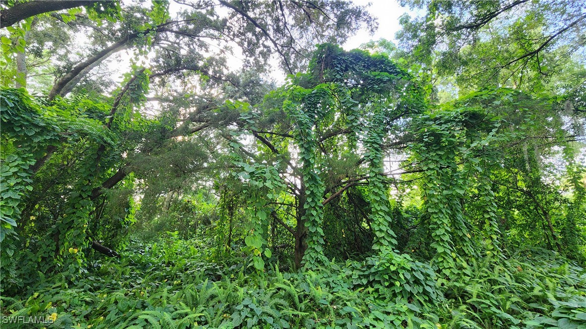2201 South Goldenrod Road Orlando, FL 32822 - Photo 2 of 19 a view of a lush green forest