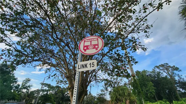 a view of a tree with a fire pit