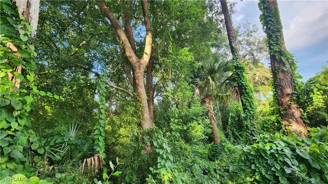 an aerial view of residential house with outdoor space and trees all around