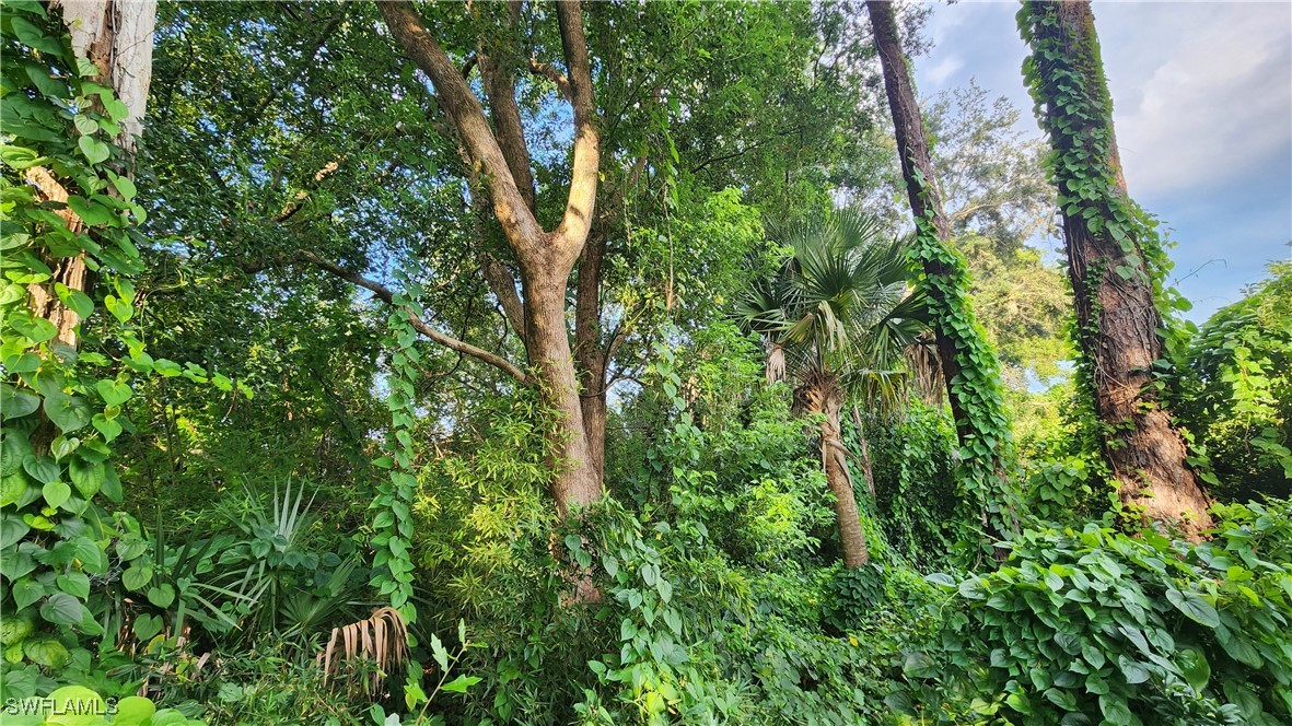 2201 South Goldenrod Road Orlando, FL 32822 - Photo 10 of 19 an aerial view of residential house with outdoor space and trees all around