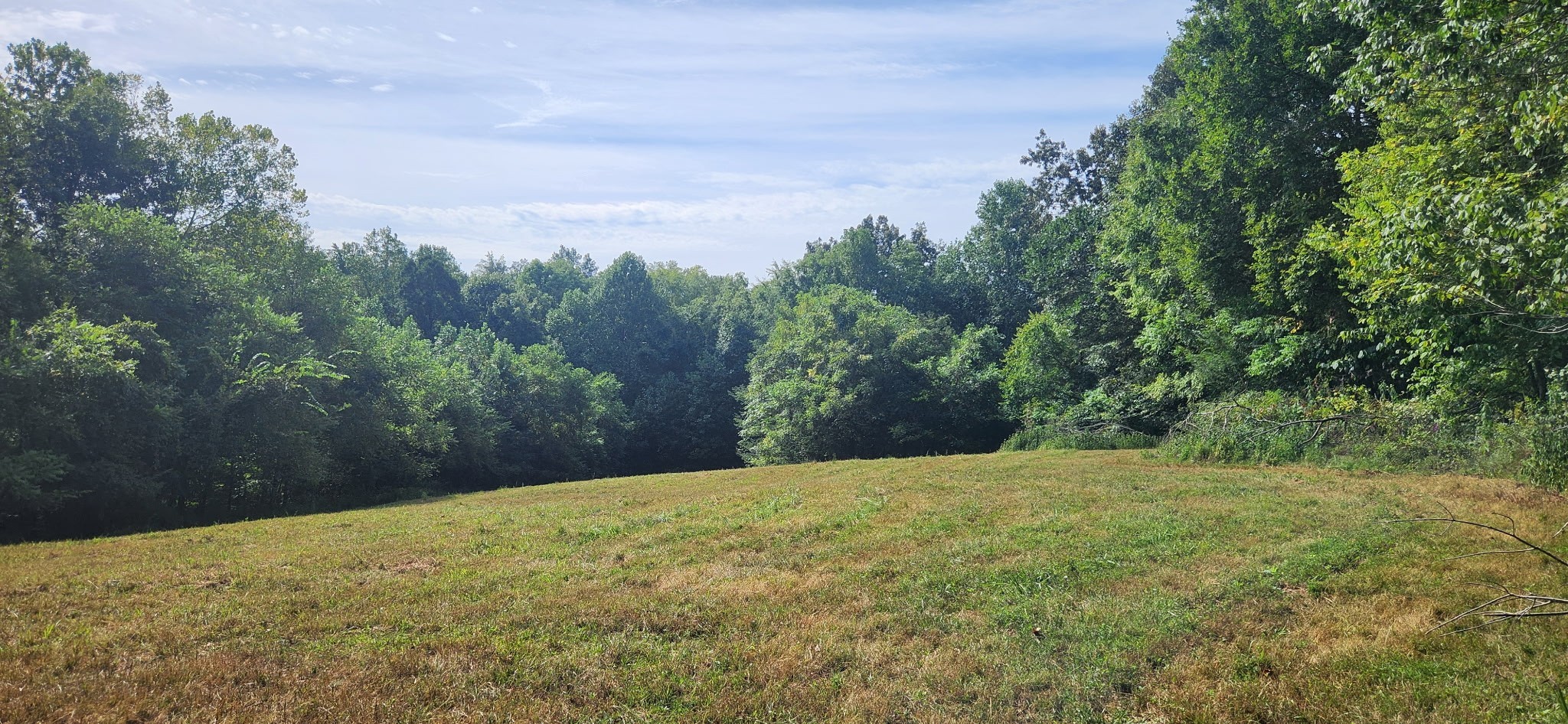 5849 Catholic Church Road Cedar Hill, TN 37032 - Photo 11 of 23 a view of a backyard of the house